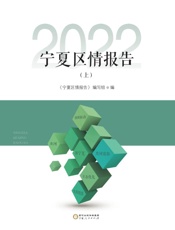 宁夏区情报告.2022上