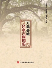 万载县城名木古树图