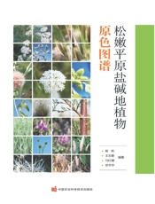 松嫩平原盐碱地植物原色图谱