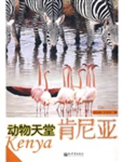 动物天堂——肯尼亚