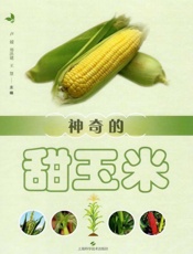 神奇的甜玉米