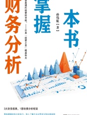 一本书掌握财务分析