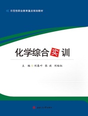 化学综合实训