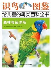 森林与远洋鸟