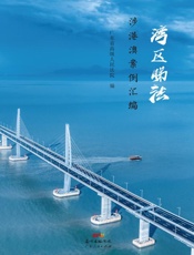 湾区睇法：涉港澳案例汇编