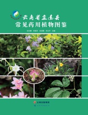 云南省孟连县常见药用植物图鉴