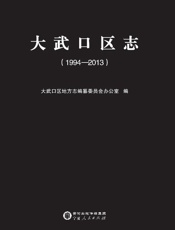 大武口区志　1994～2013（上下册）