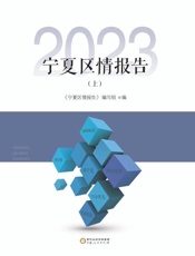 宁夏区情报告.2023.上
