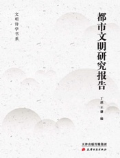 都市文明研究报告