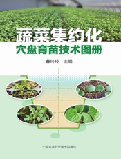 蔬菜集约化穴盘育苗技术图册