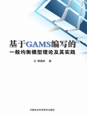 基于GAMS编写的一般均衡模型理论及其实践