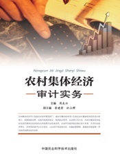 农村集体经济审计实务