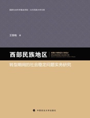西部民族地区转型期间的社会稳定问题实务研究