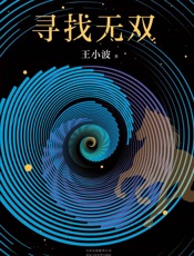 王小波：寻找无双