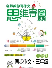 小学生同步作文.三年级