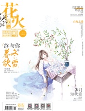 花火（2017年04月B）