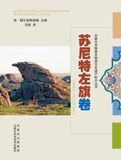 内蒙古非物质及物质文化遗产标志丛书.苏尼特左旗卷