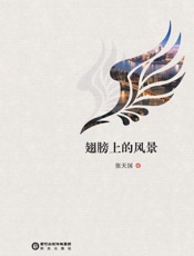 翅膀上的风景