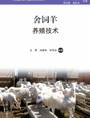 舍饲羊养殖技术