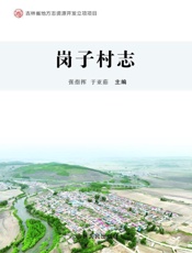 岗子村志