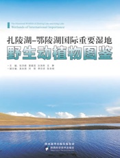 扎陵湖：鄂陵湖国际重要湿地野生动植物图鉴