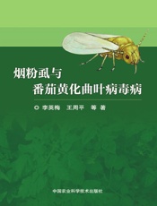 烟粉虱与番茄黄化曲叶病毒病