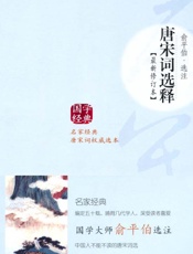 唐宋词选释