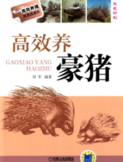 高效养豪猪