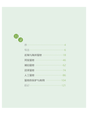 湿地·上海