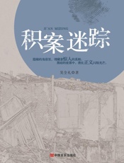 积案迷踪