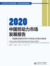 2020中国劳动力市场发展报告