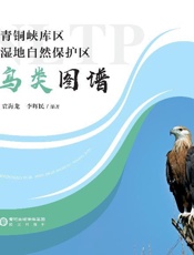 青铜峡库区湿地自然保护区鸟类图谱
