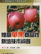 提高苹果商品性栽培技术问答