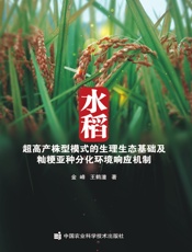 水稻超高产株型模式的生理生态基础及籼粳亚种分化环境响应机制
