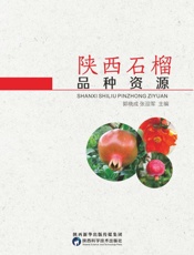 陕西石榴品种资源