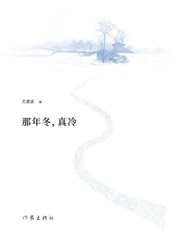 那年冬，真冷