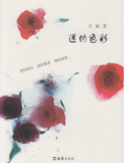 迷的色彩