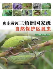山东黄河三角洲国家级自然保护区昆虫