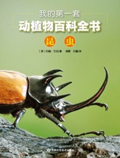 我的第一套动植物百科全书 3：昆虫