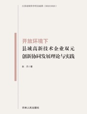 开放环境下县域高新技术企业双元创新协同发展理论与实践