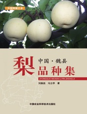 中国·魏县梨品种集