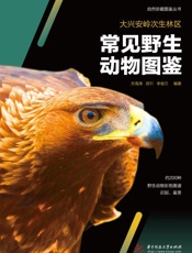 大兴安岭次生林区常见野生动物图鉴