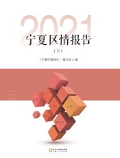 宁夏区情报告（2021 下）