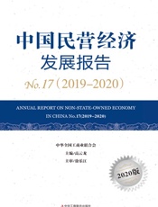 中国民营经济发展报告No.17（2019～2020）