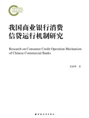 我国商业银行消费信贷运行机制研究