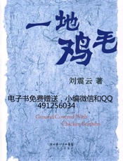 一地鸡毛 -