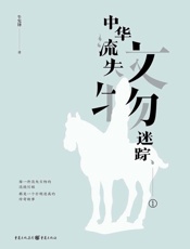 中华流失文物迷踪 1