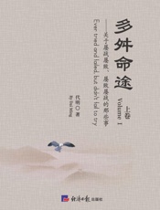 多舛命途：关于屡战屡败、屡败屡战的那些事.上卷