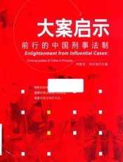 大案启示：前行的中国刑事法制