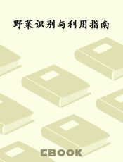 野菜识别与利用指南